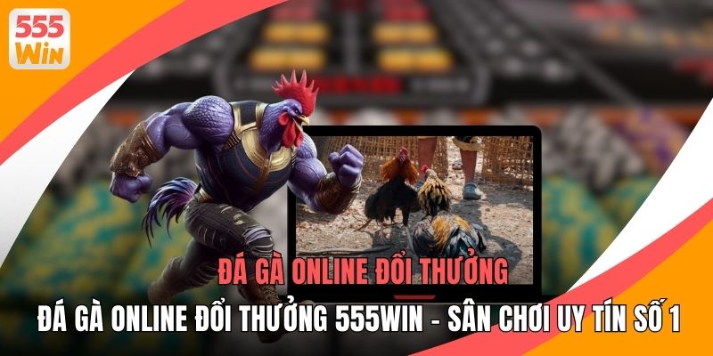 Đá Gà Online Đổi Thưởng 555WIN - Sân Chơi Uy Tín Số 1