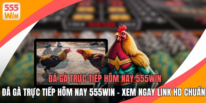 Đá Gà Trực Tiếp Hôm Nay 555WIN - Xem Ngay Link HD Chuẩn